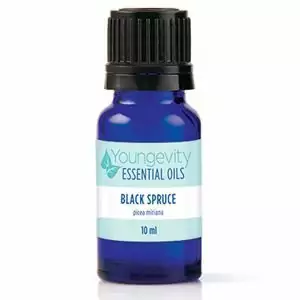 Black Spruce Essential Oil – 10ml